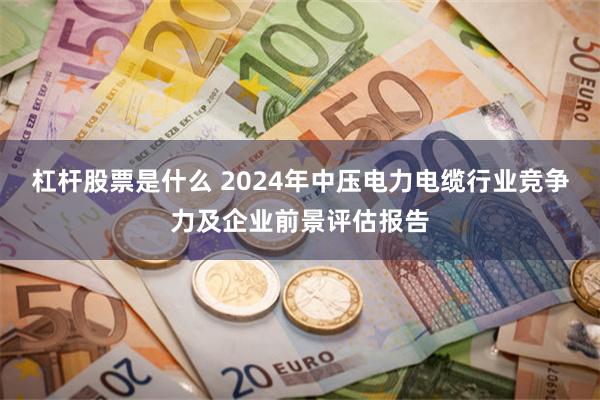 杠杆股票是什么 2024年中压电力电缆行业竞争力及企业前景评估报告