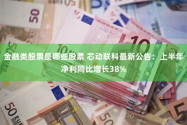 金融类股票是哪些股票 芯动联科最新公告：上半年净利同比增长38%