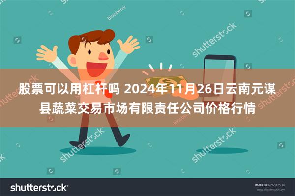 股票可以用杠杆吗 2024年11月26日云南元谋县蔬菜交易市场有限责任公司价格行情