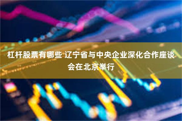 杠杆股票有哪些 辽宁省与中央企业深化合作座谈会在北京举行